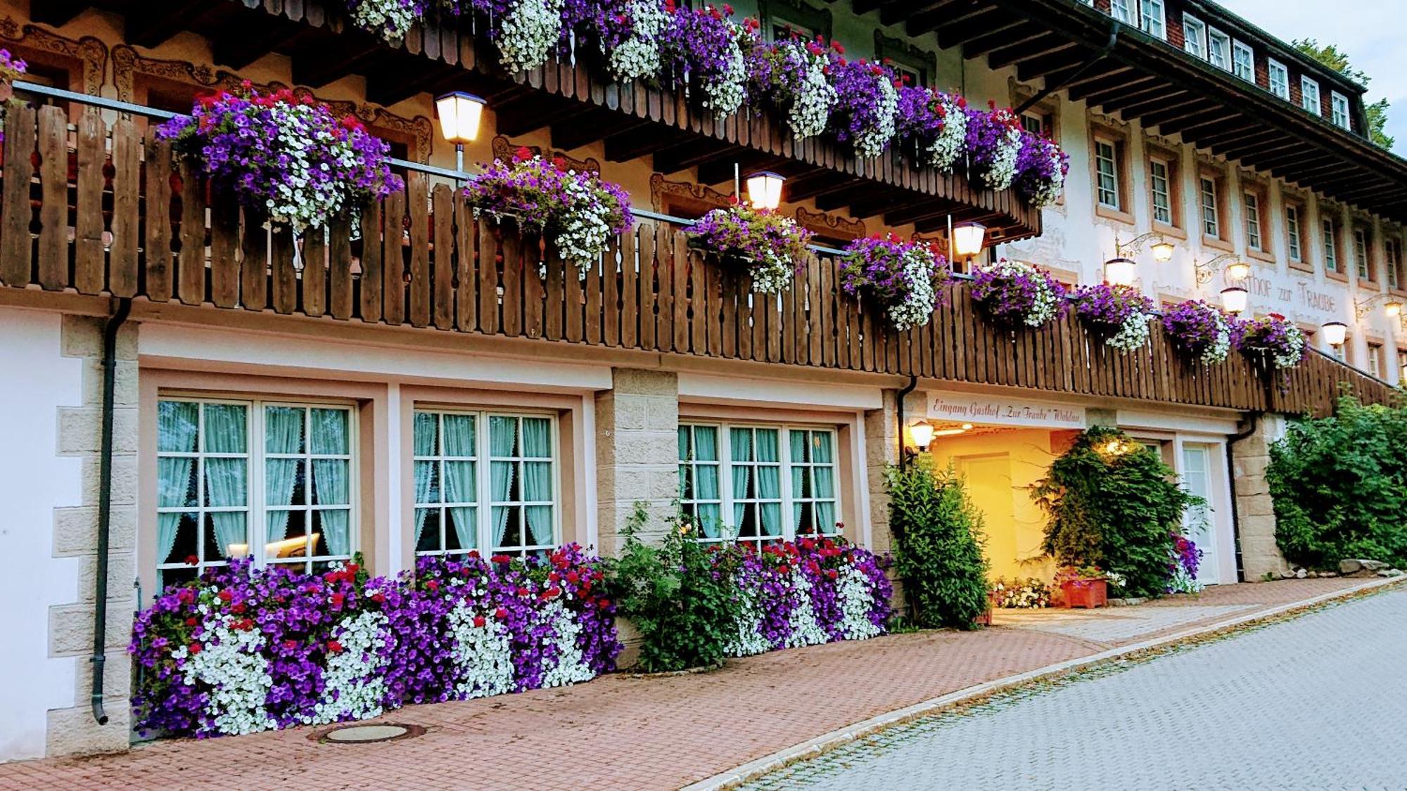 Zur Traube Schwarzwaldhotel & Restaurant Am Titisee Sankt Märgen Exterior photo